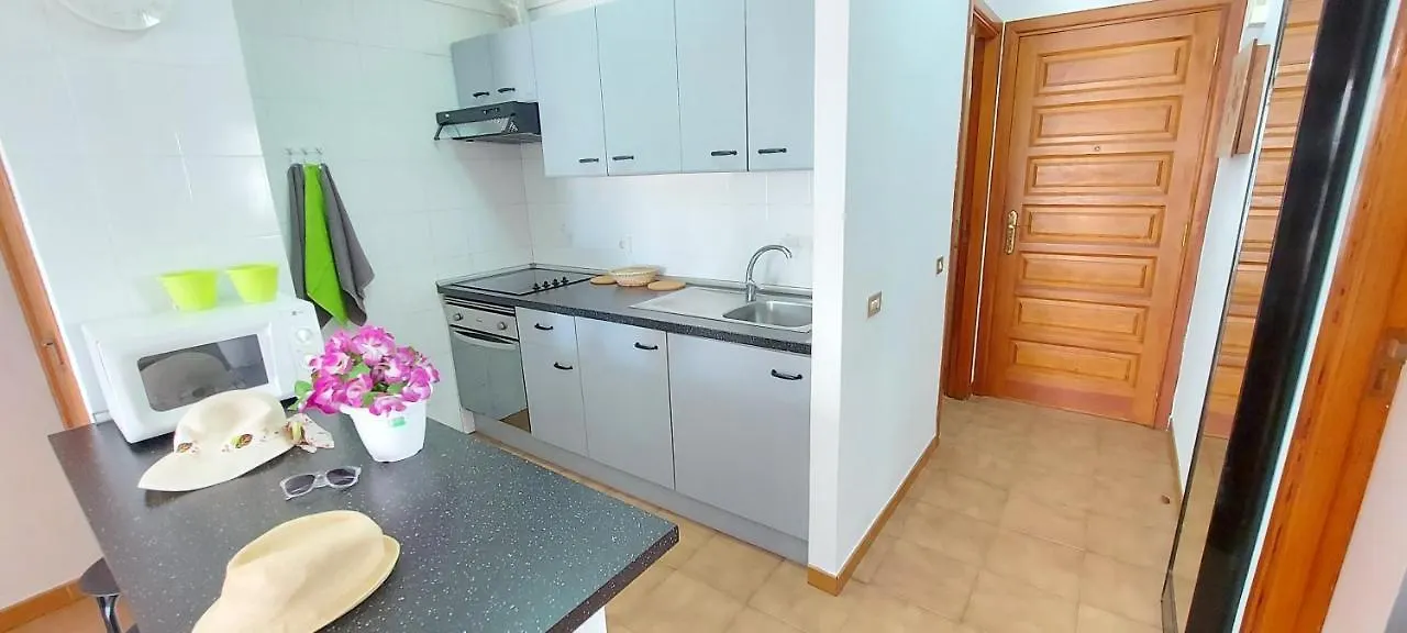 Los Cristianos Apartment, 1 Bedroom Wifi Free & Big Terrace Hébergement de vacances Los Cristianos (Tenerife)